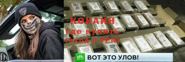 тгк Алексин
