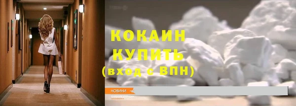 тгк Абаза