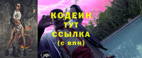 тгк Абаза