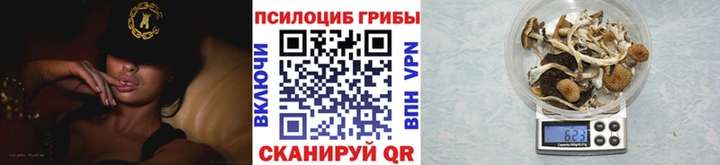 Галлюциногенные грибы мухоморы  купить наркотики сайты  Домодедово 